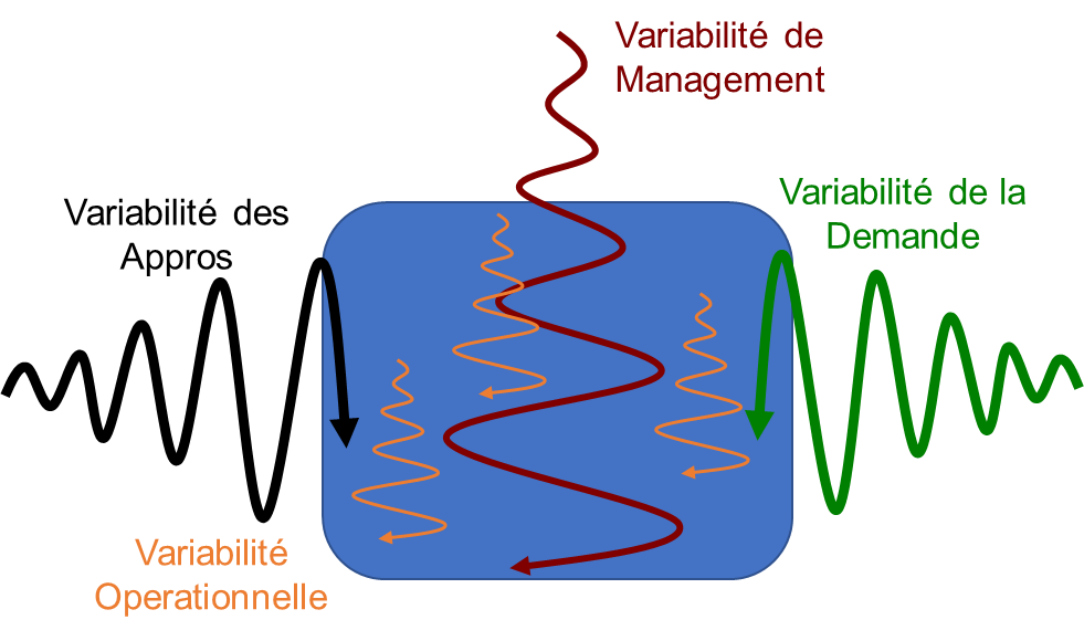 Variabilités